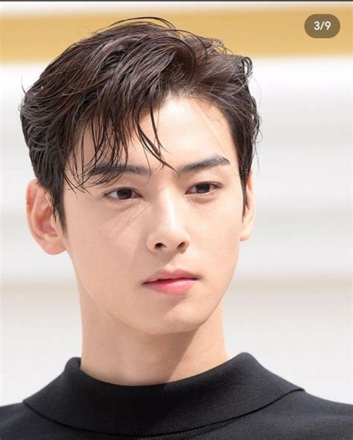 Cha Eun Woo's Charm And Accomplishments
