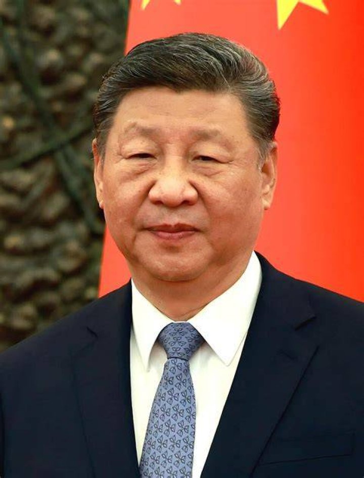 Who is Xi Jinping's daughter? r/China